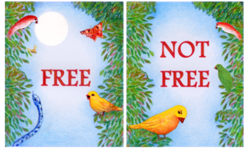Free / Not Free