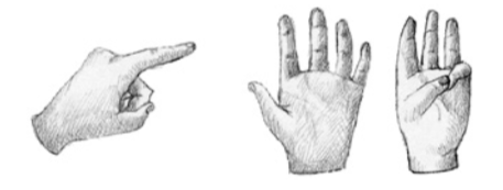 Ilustracion 31
